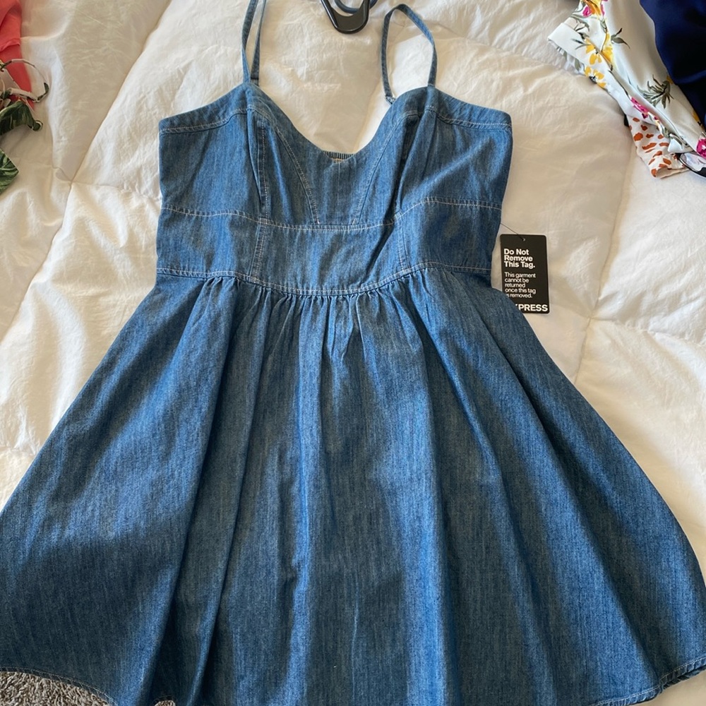 Express Jean dress